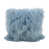 Ice Blue selected