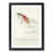 Black Framed selected