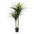 59.06 " H Faux Dracaena Tree