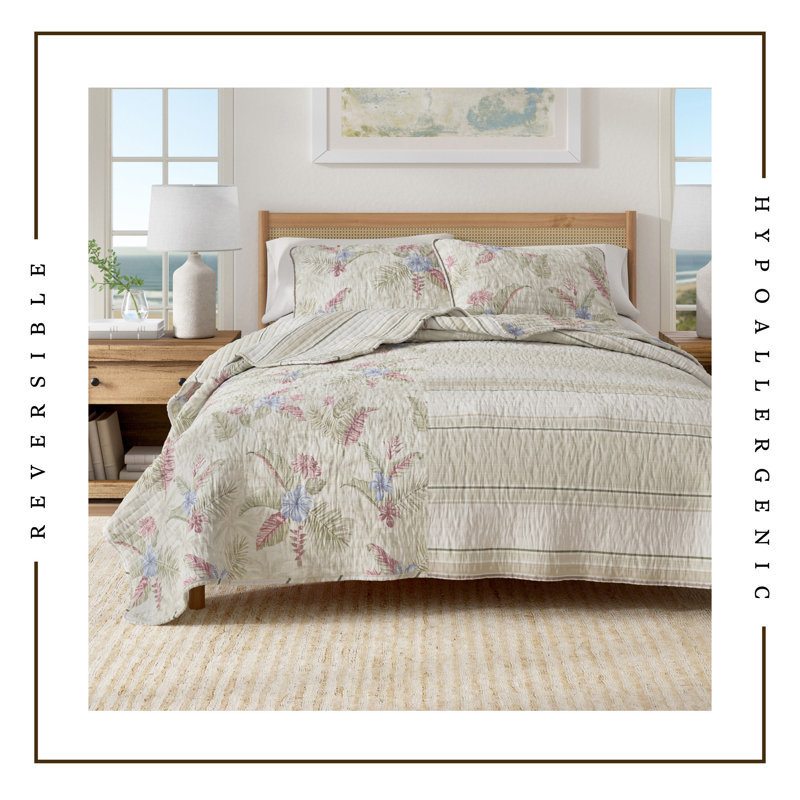 Ensemble de courtepointe en coton, Floral tropical, Courtepointe double et 2 taies décoratives standa