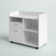 Fern Rock 31.5'' Wide 2 - Drawer Filing Storage Cabinet