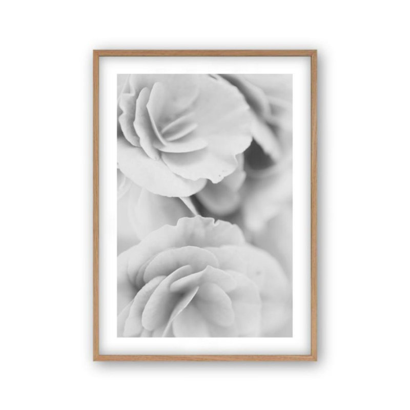 Print, Oak Frame, 41 cm H x 31 cm W x 2.5 cm D