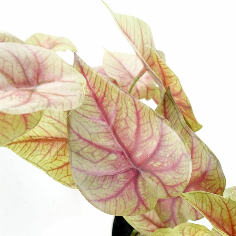 Foliage Plants 30cm Faux Plant in Planter