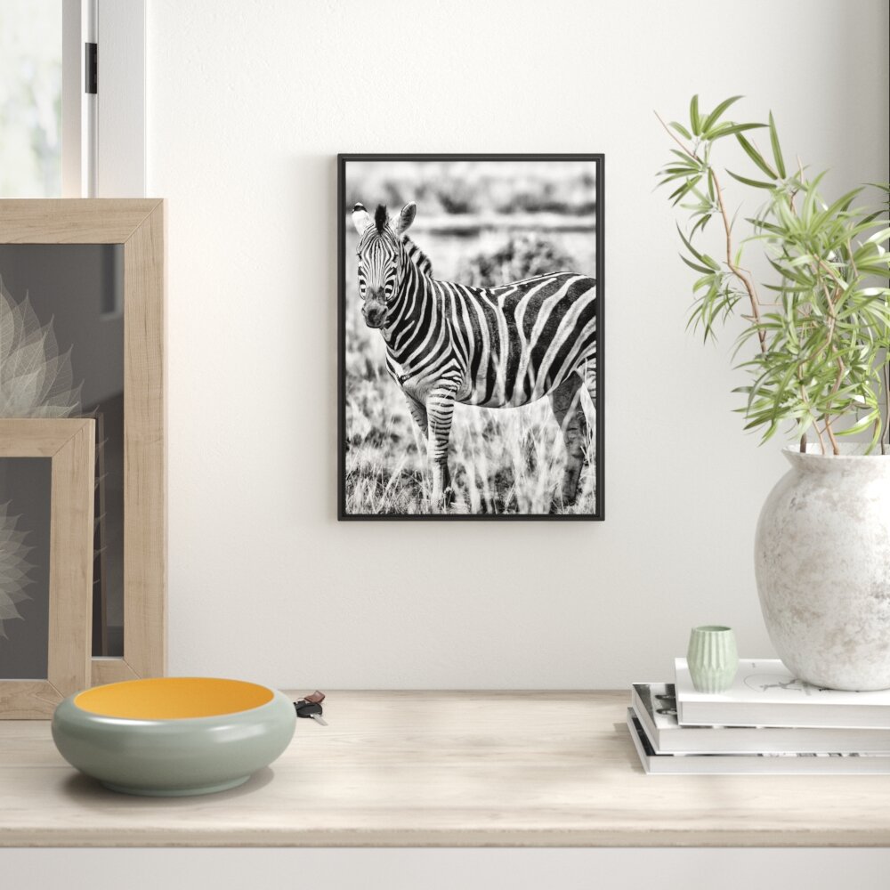 Gerahmtes Wandbild ZebraWildgras