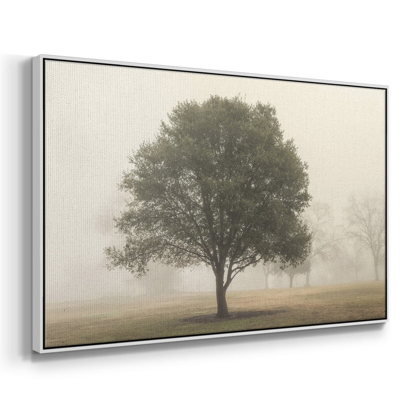 «Trees in the Fog I», reproduction encadrée sur toile, H 17 po x l 25 po x P 2 po, Blanc