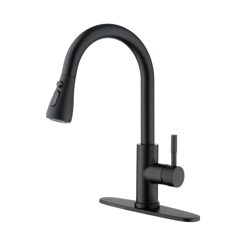 Kitchen Faucet With Pull Out Spraye