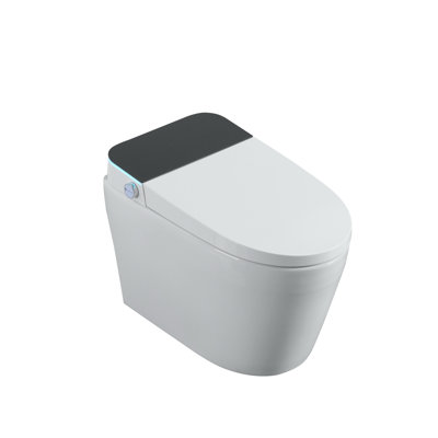 Tankless Smart Toilet With Built In Bidet, One-Piece Bidet Toilet With Auto Flush Heated Seat, Warm Water And Dry, Adjustable Temp, Remote Control Side Know