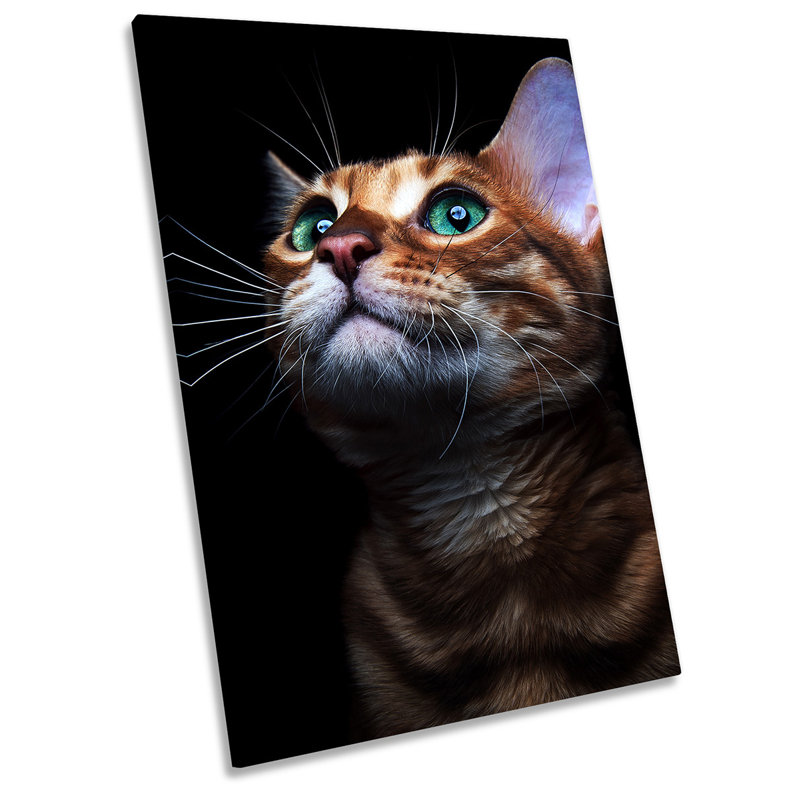 Cat Eyes Print - Wrapped Canvas Art Prints, 61cm H x 40.6cm W
