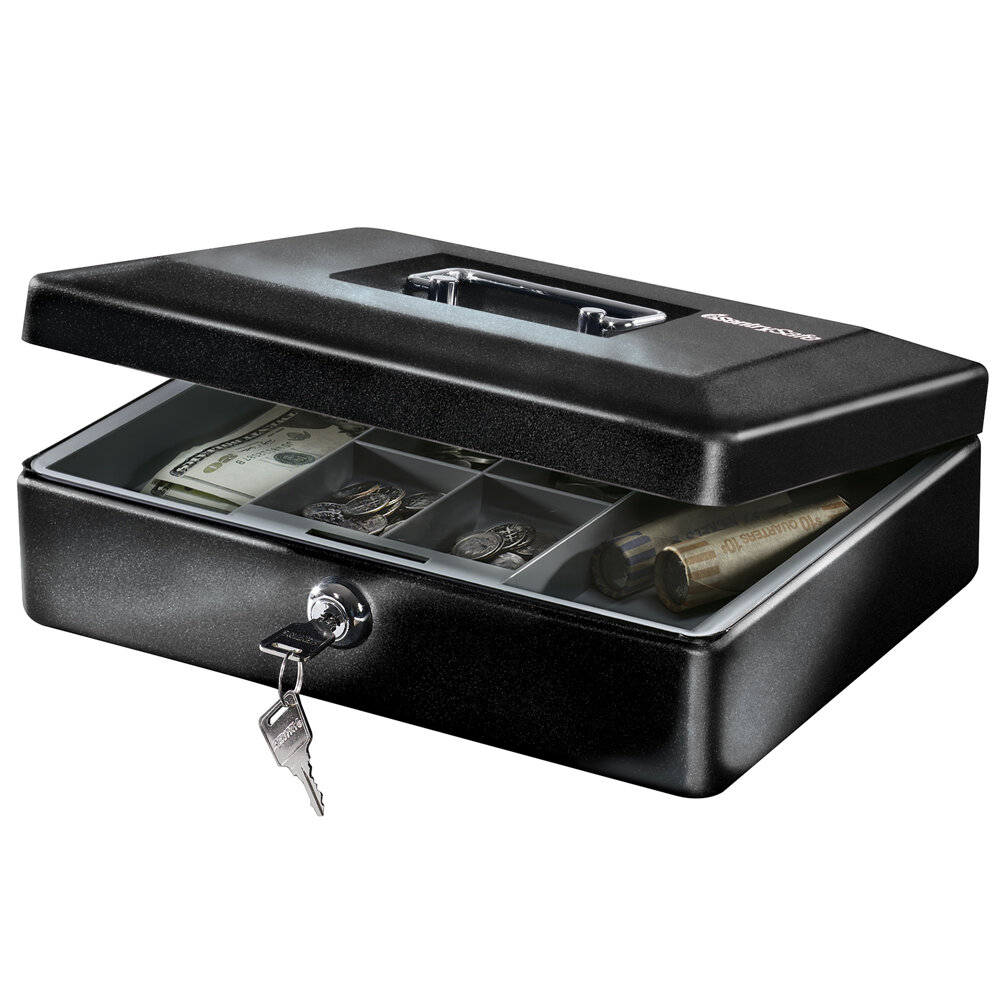 SentrySafe Sentry Safe Steel Cash Tray & Reviews | Wayfair