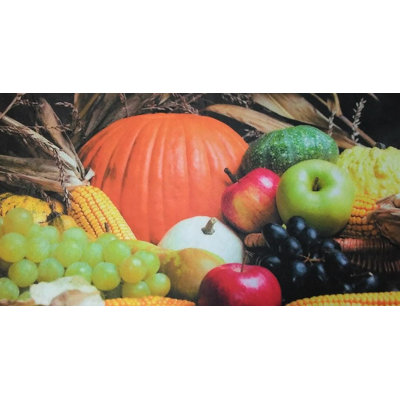 Carlisa Non-Slip No Pattern Thanksgiving Doormat