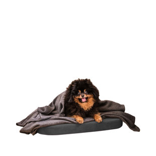 Orthopedic Microfibre Pet Bed