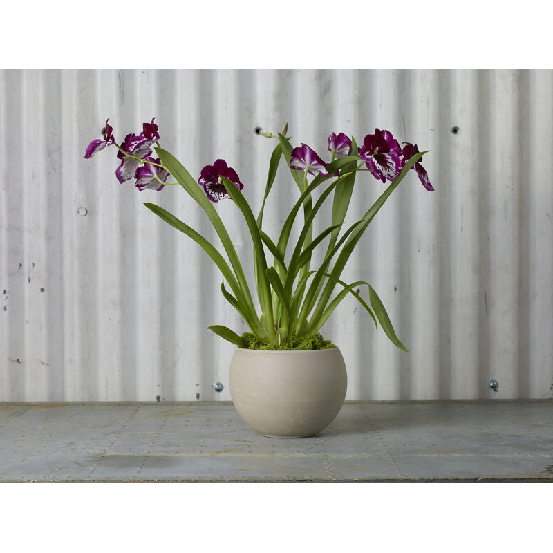 Handmade Ceramic Pot Planter, Tan, 4.75" H x 6.5" W x 6.5" D