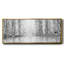 Aspen Reflection - toile encadrée-110589442