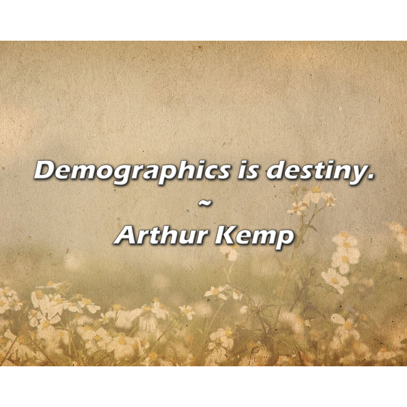 Citation artistique «Demographics is Destiny». Toile tendue par Arthur Kemp Gallery, H 28 po x l 40 po