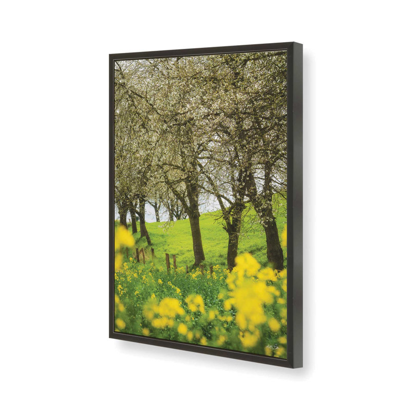 «Spring in Bloom» par Martin Podt, reproduction d'art, L 8 po x H 12 po, Noir, Impression encadrée