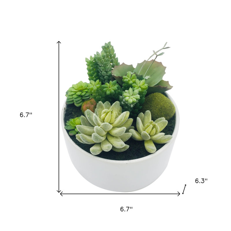 Plante grasse artificielle verte 7 po dans un pot rond en porcelaine blanche