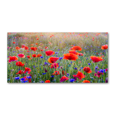 Field Flowers - Wrapped Canvas Print