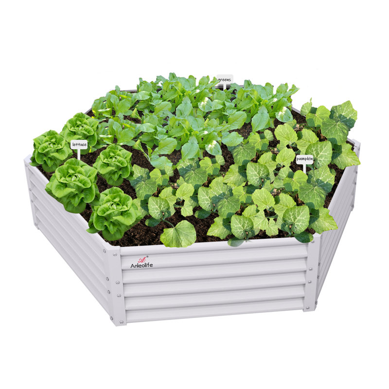 Hexagon Galvanized Raised Garden Beds Outdoor,70X60X18In Metal Planter Box, White