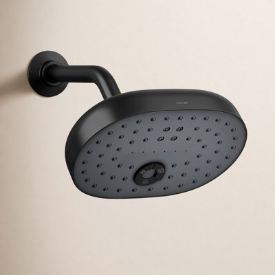 Statement 2.5 GPM Oval Multifunction Showerhead