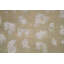 Hand-Knotted High-Quality Beige Area Rug