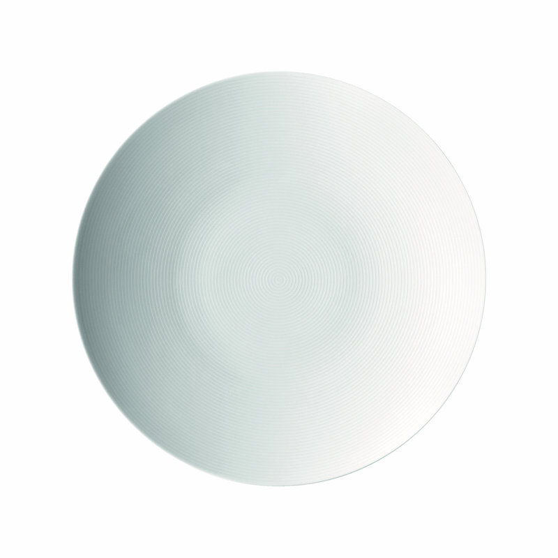 Porcelain Dinner Plate