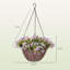 25 cm H Faux Plant