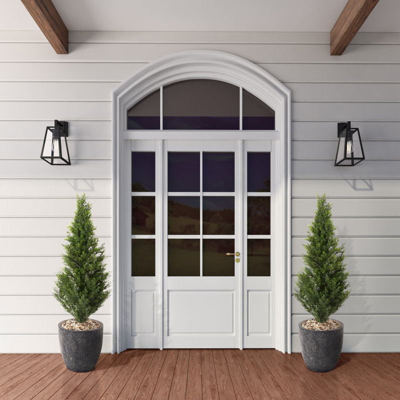 Indoor Outdoor Cedar Topiary in Black Etched Container