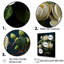 Art mural beige - Magnolias-1397051979-1397051976