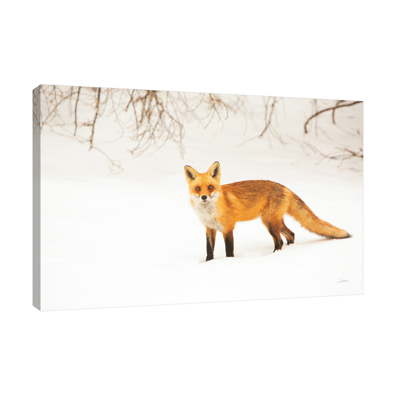 "Red Fox IV", toile tendue par Aledanda, H 20 po x l 30 po x P 1,5 po