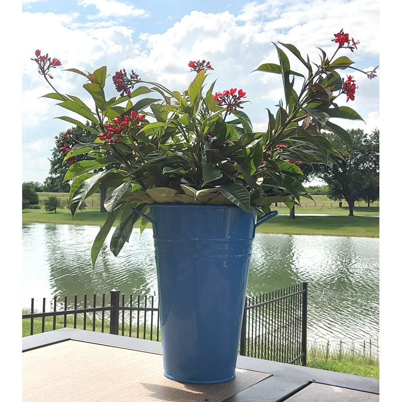 Marland Handmade Metal Table Vase, Blue