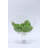 Liscio Ottico - Slant Footed Bowl