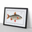 Roach Fish by M.E. Bloch - Picture Frame Painting Print-55618259-55618258