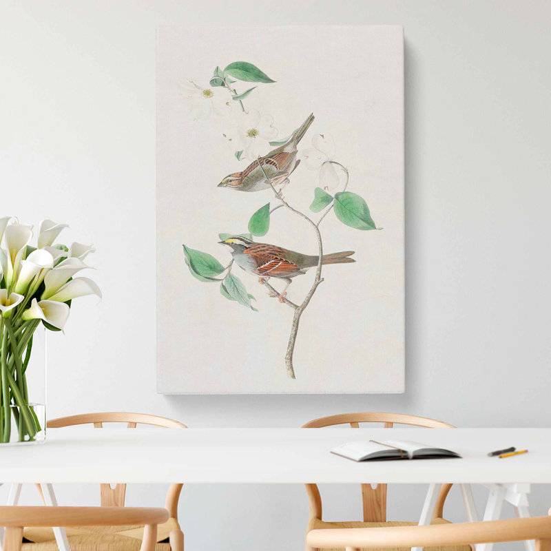 White Throated Sparrow by John Audubon - Wrapped Canvas, 76cm H x 50cm W x 3cm D
