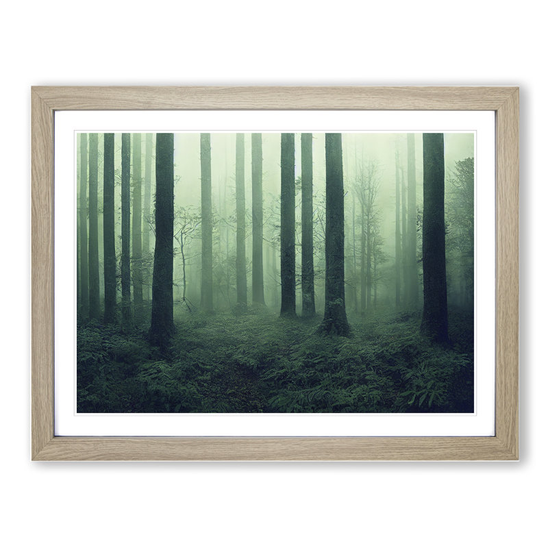 Dazzling Forest - Framed Print, Oak, 25cm H x 34cm W x 2cm D