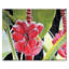 Blossom by Olena Kosenko - Wrapped Canvas Print