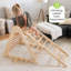 Triangle «Apprendre et grimper»-124361854