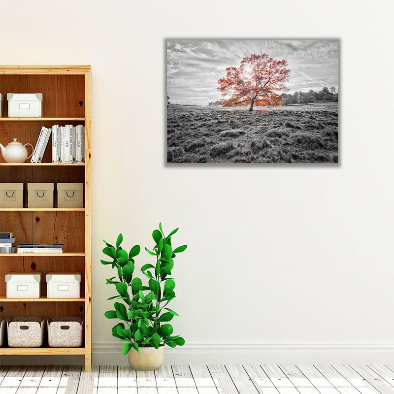 «Single Tree at Autumn», reproduction d'art sur toile, H 18 po x l 24 po
