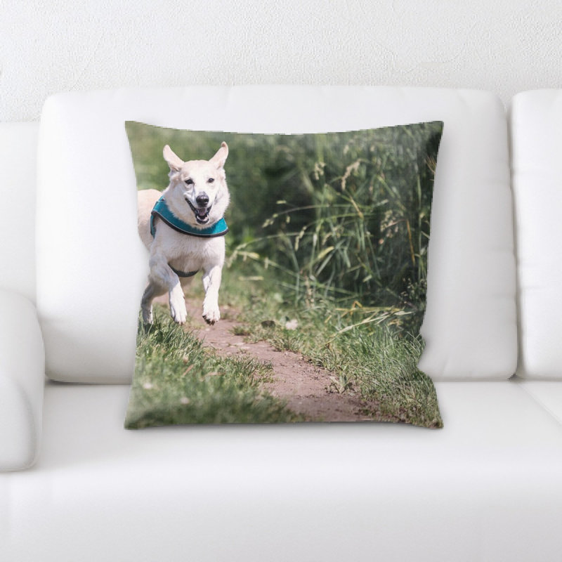 Coussin pour chien
