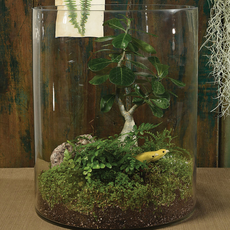 Urbank Glass Table Vase