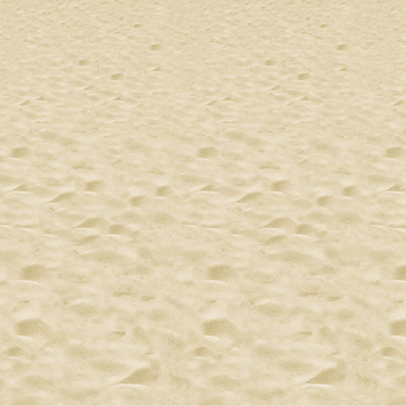 Toile de fond de plage - paquet de 6