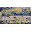 Oriental Area Rug-1596439089