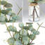 13,5 po Tiges d'eucalyptus artificiel avec vase en verre