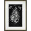 Butterfly Botanical I Print