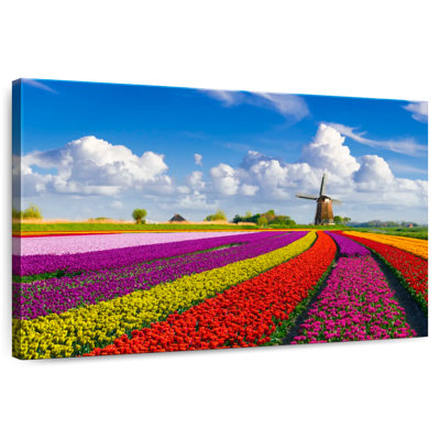 Alvord Multicolored Tulip Rows