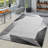 Indoor Rug-366451167