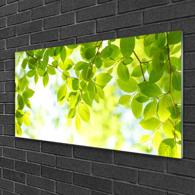 Leaves Nature - Unframed Photograph on Glass