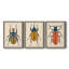 Beetle Bug I - ensemble de 3 peintures sur toile encadrées-1777886050-1777886049