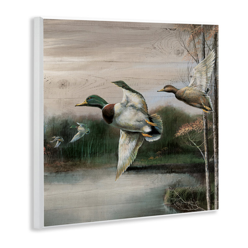Flying Ducks in Rustic Nature, plaque murale par Ruane Manning
