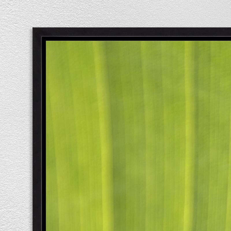 Verde Delicato Print by Karyn Millet, Image Brush Gel