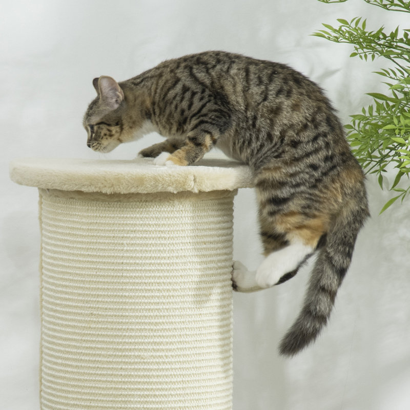 215.9 cm H Cat Scratchers